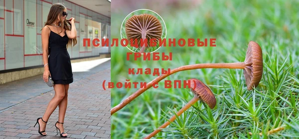 spice Беломорск