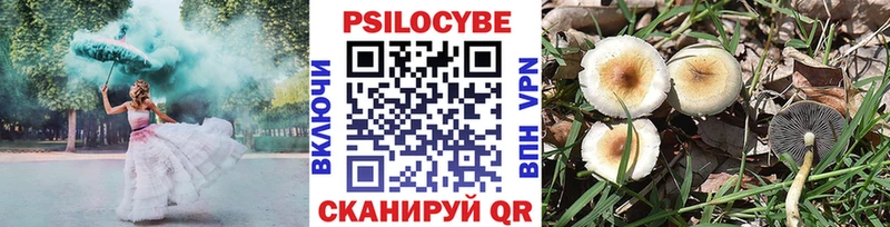 как найти наркотики  Кушва  Псилоцибиновые грибы мицелий 